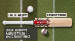What is the difference between English Willow and Kashmir Willow