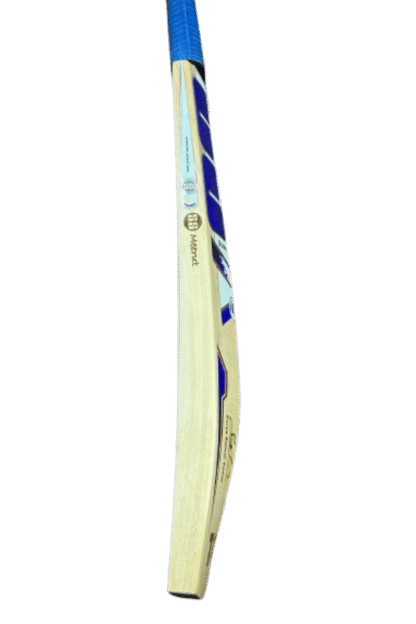 SS Ton Bat - Image 2