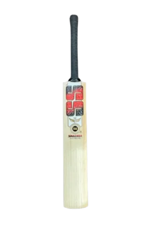 SS Ton Cricket Bat