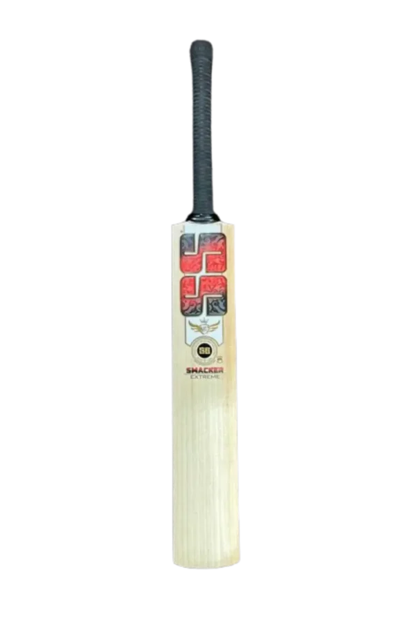SS Ton Cricket Bat